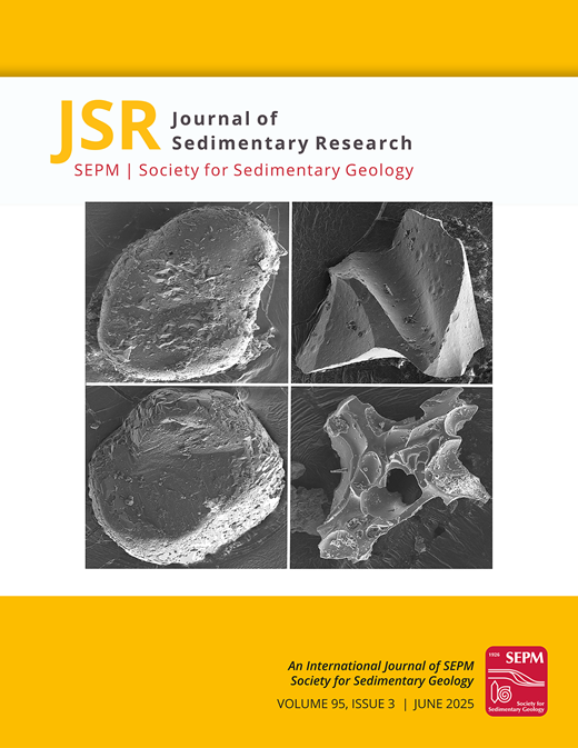 Journal of Sedimentary Research Cover Image for Volume 95, Issue 3